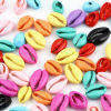 Picture of Natural Shell Charms Shell Multicolor