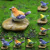 Picture of Resin Simulation Bird Micro Landscape Miniature Decoration