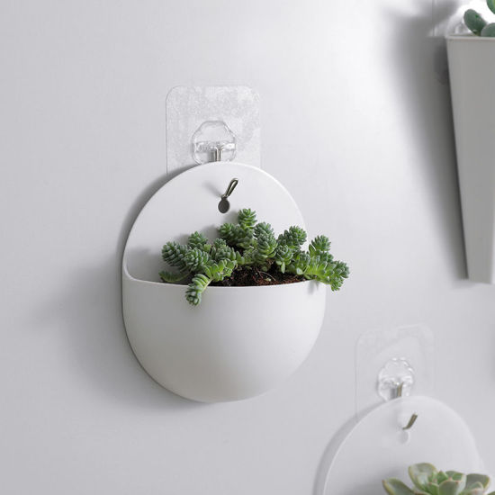 Picture of Plastic Hydroponic Flowerpot Wall-mounted Vase