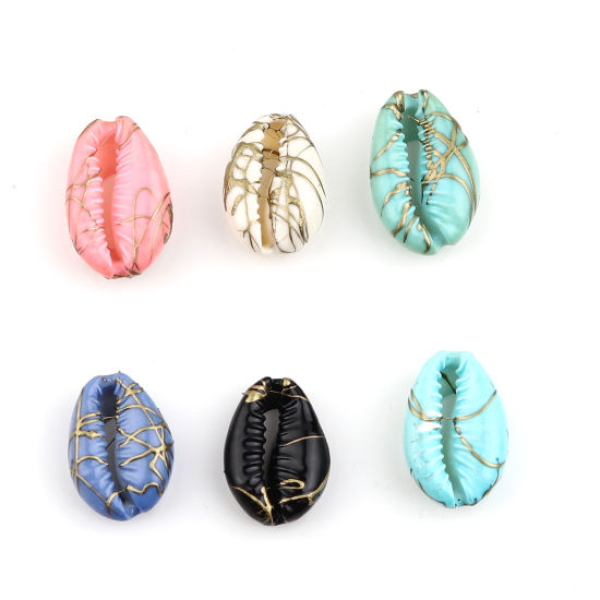 Picture of Natural Shell Charms Shell Dyed