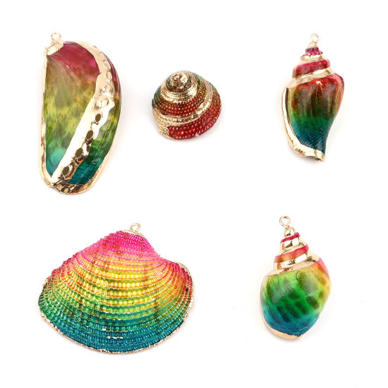 Picture of Natural Shell Pendants Conch/ Sea Snail Dyed