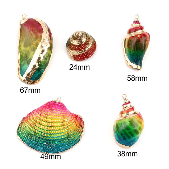 Picture of Natural Shell Pendants Conch/ Sea Snail Dyed