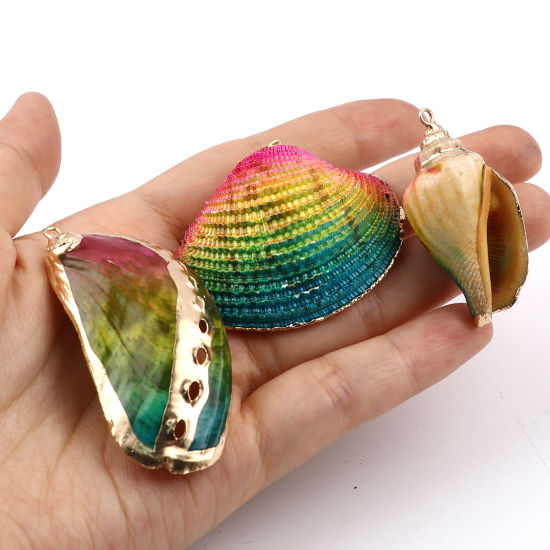 Picture of Natural Shell Pendants Conch/ Sea Snail Dyed