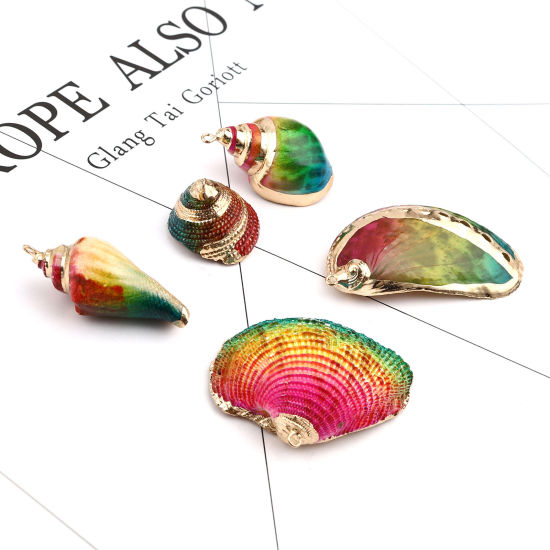 Picture of Natural Shell Pendants Conch/ Sea Snail Dyed