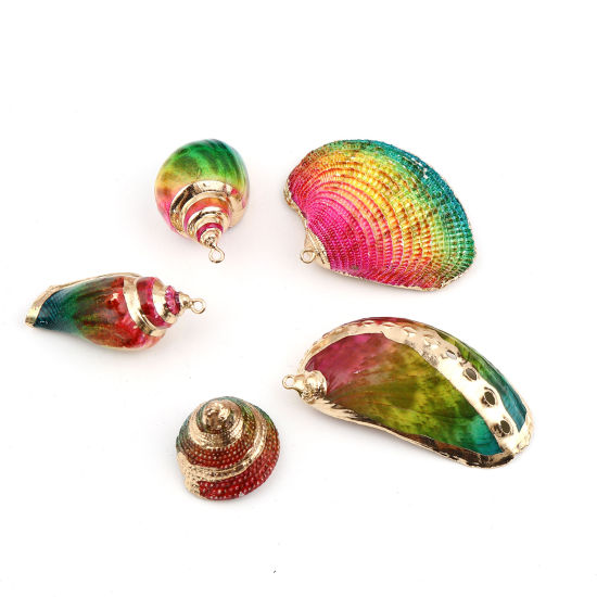 Picture of Natural Shell Pendants Conch/ Sea Snail Dyed