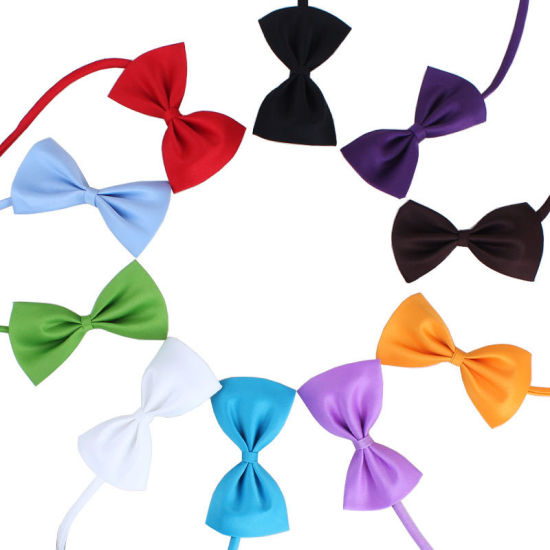 Picture of Bow Tie Pet Clothing Accessories
