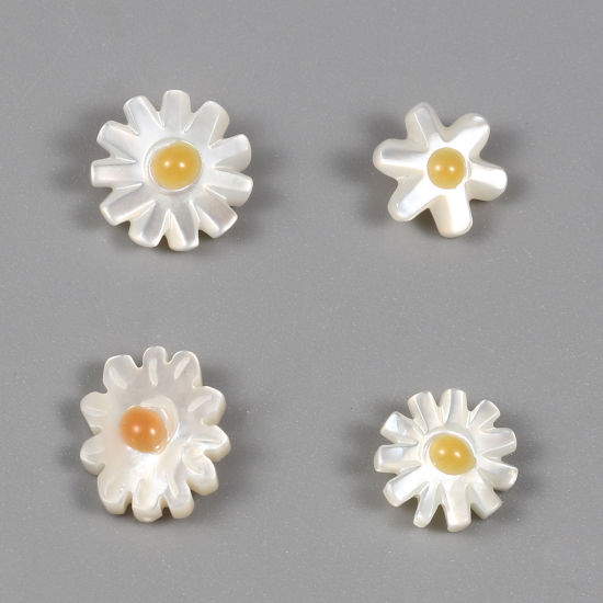 Image de Perles en Coquille Chrysanthème Blanc & Jaune Taille de Trou: 0.7mm, 1 Pièce