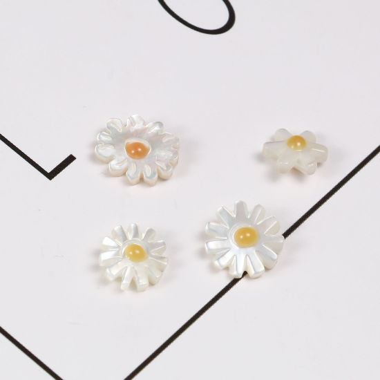 Image de Perles en Coquille Chrysanthème Blanc & Jaune Taille de Trou: 0.7mm, 1 Pièce