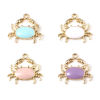 Image de Breloques Bijoux d'Océan en Alliage de Zinc Crabe Multicolore env. Émail 20mm x 18mm, 10 Pcs
