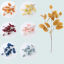 Imagen de Faux Silk Simulation Eucalyptus Leaf Home Decoration