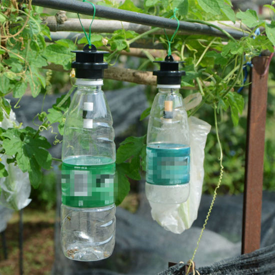 Image de Chapeau accrochant extérieur de pièges de guêpe de moucheron de drosophile sans agent de piégeage approprié aux bouteilles d'eau minérale