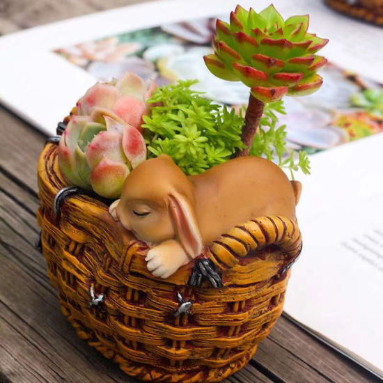 Image de Petit pot de fleur de paysage micro de panier d'animal de bande dessinée de résine pour le succulent