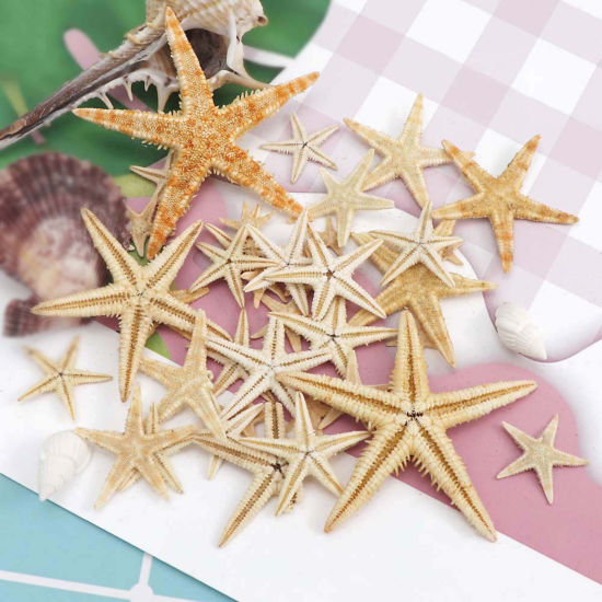 Picture of Ornaments Decorations Light Brown Star Fish 1 Packet