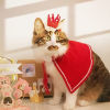 Picture of Christmas Pet Cat Dog Clothes New Year Dress Up Cosplay Costume