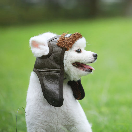 Picture of Autumn Winter Retro Warm PU Leather Aviator Hat Dog Pet Clothing