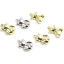 Picture of Zinc Based Alloy Charms Bear Animal Multicolor 17mm x 12mm, 10 PCs