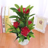 Imagen de Plastic Artificial Flower Potted Plants Home Decoration