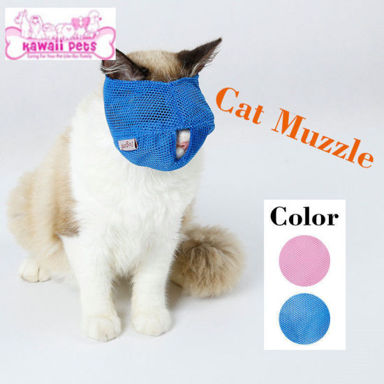 Image de Fournitures pour animaux de compagnie masque de chat respirant multifonctionnel anti-morsure