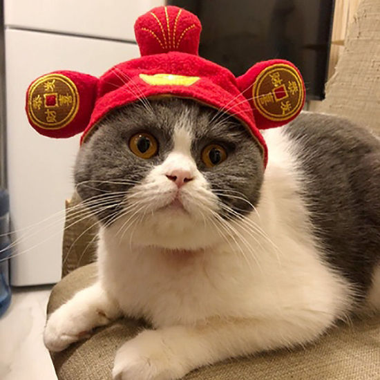 Picture of Velvet Cute Headgear Dress Up For Cat Dog Pet Supplies