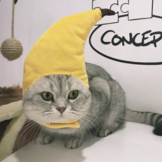 Picture of Velvet Cute Headgear Dress Up For Cat Dog Pet Supplies