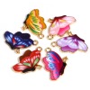 Picture of Zinc Based Alloy Insect Charms Butterfly Animal Gold Plated Multicolor Enamel 10 PCs