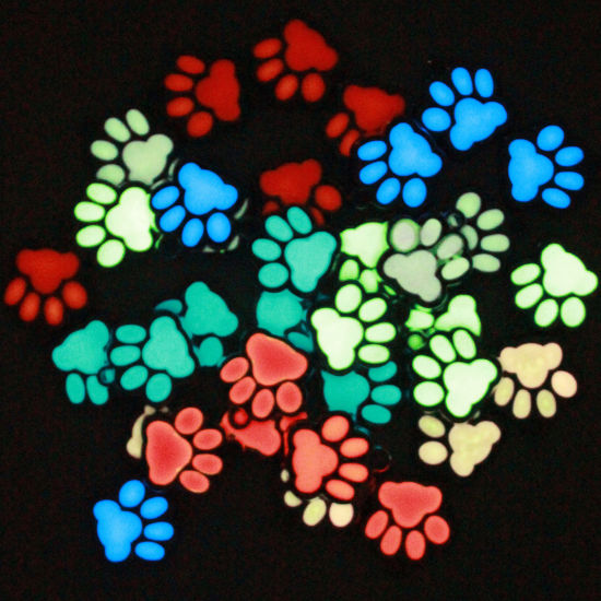 Picture of Zinc Based Alloy Pet Memorial Charms Paw Claw Silver Tone Multicolor Glow In The Dark Luminous 18mm x 17mm, 10 PCs