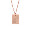 Picture of Stainless Steel Necklace Multicolor Rectangle Animal 45cm(17 6/8") long, 1 Piece
