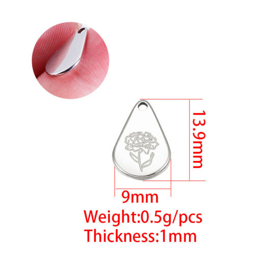 Immagine di Acciaio Inossidabile Fiore del Mese di Nascita Charms Geometrica Multicolore Gennaio 13.9mm x 9mm, 1 Pz