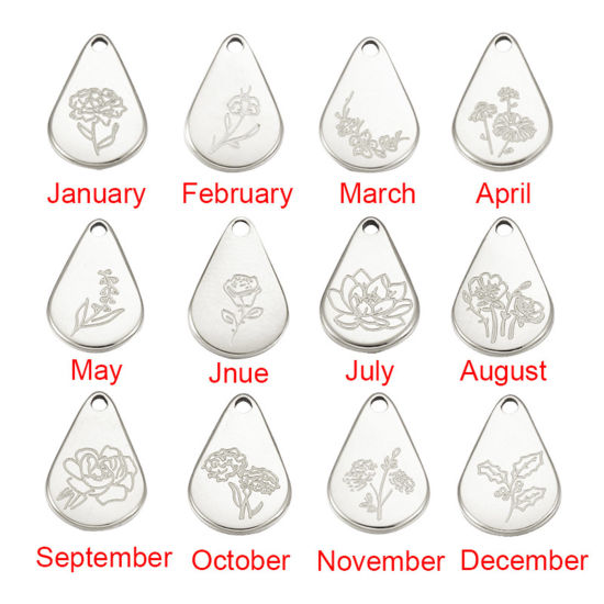 Immagine di Acciaio Inossidabile Fiore del Mese di Nascita Charms Geometrica Multicolore Gennaio 13.9mm x 9mm, 1 Pz