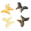 Image de Perles Insecte en Coquille Papillon Multicolore 20mm x 14mm, 1 Pièce