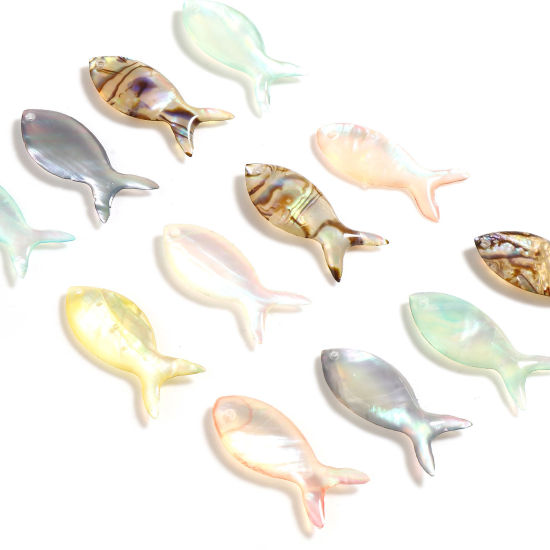 Image de Breloques Bijoux d'Océan Naturel en Coquille Poisson Multicolore 25mm x 10mm, 2 Pcs