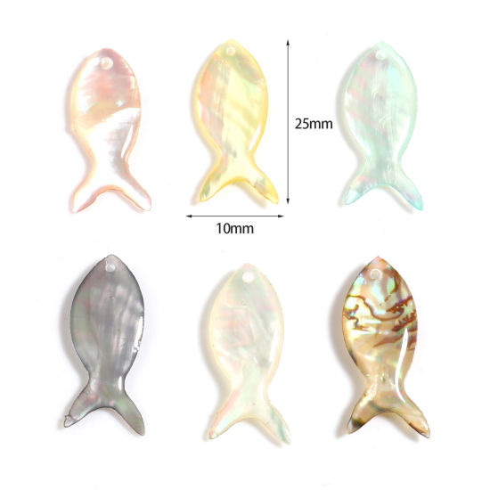 Picture of Natural Shell Ocean Jewelry Charms Fish Animal Multicolor 25mm x 10mm, 2 PCs