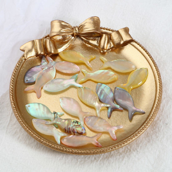 Picture of Natural Shell Ocean Jewelry Charms Fish Animal Multicolor 25mm x 10mm, 2 PCs