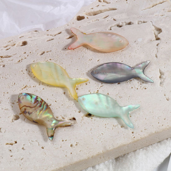 Picture of Natural Shell Ocean Jewelry Charms Fish Animal Multicolor 25mm x 10mm, 2 PCs