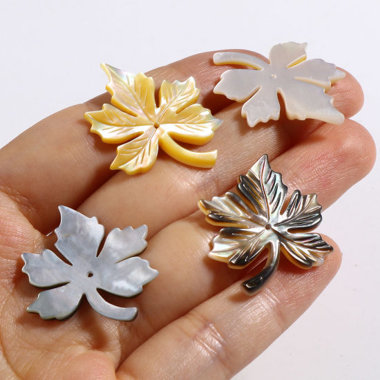 Picture of Natural Shell Pendants Maple Leaf Multicolor 30mm x 25mm, 1 Piece