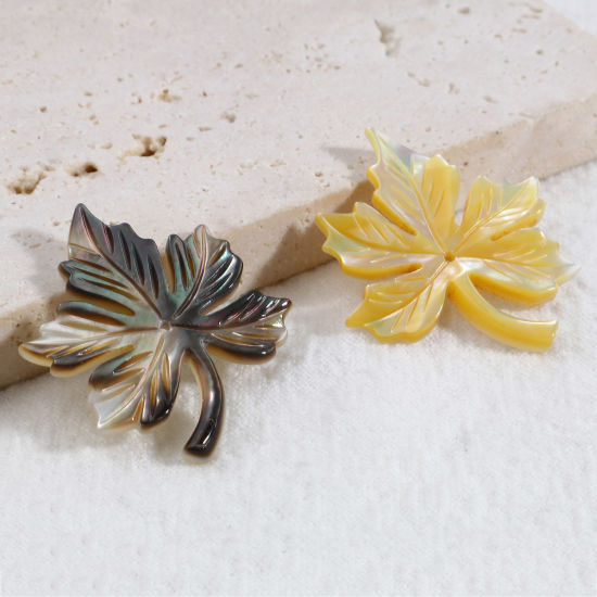 Picture of Natural Shell Pendants Maple Leaf Multicolor 30mm x 25mm, 1 Piece