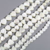 Picture of Valentine's Day Natural Shell Loose Beads Heart Creamy-White 1 Strand