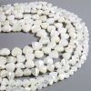 Picture of Valentine's Day Natural Shell Loose Beads Heart Creamy-White 1 Strand
