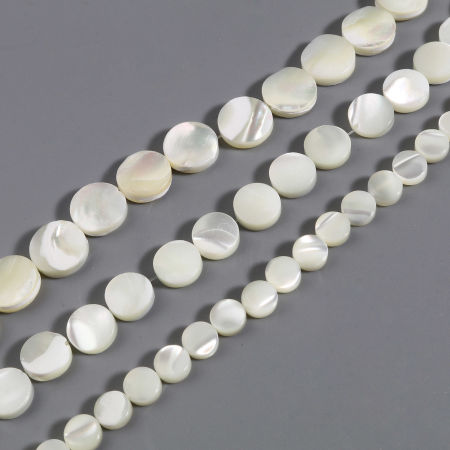 Natural Shell Loose Beads Flat Round Creamy-White 1 Strand