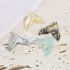 Bild von Natur Muschel Charms Fischschwanz Bunt 20mm x 19mm, 2 Stück