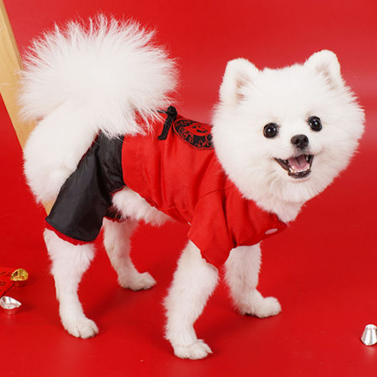 Picture of Chinese Character Blessing New Year Four-Legged Retro Tang Costume Warm Dogs And Cats Pet Clothes