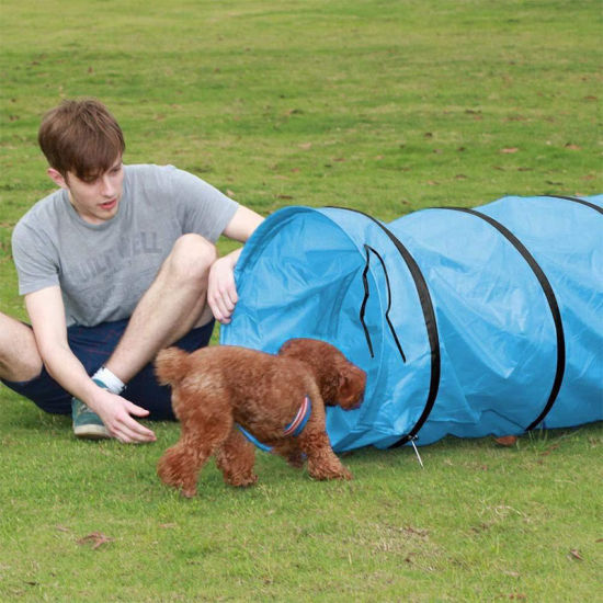 Изображение Oxford Fabric Dogs And Cats Tunnel Interactive Pet Toy Collapsible Durable Portable Tear-Resistant Keep Your Pets Stimulated Active And Happy