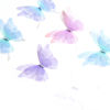 Picture of Organza Ethereal Butterfly Appliques Patches DIY Scrapbooking Multicolor Butterfly Animal Transparent 6.5cm x 5.5cm, 2 PCs
