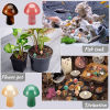 Bild von Achat ( Natur ) Mikro Landschaft Miniatur Unterschlupf Haus Aquarium Heimdekoration Pilz Bunt 1 Stück