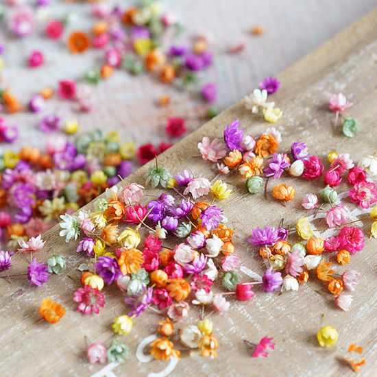 Image de Matériaux de Remplissage pour Bijoux de Résine en Fleurs Séchées Multicolore 1 Paquet