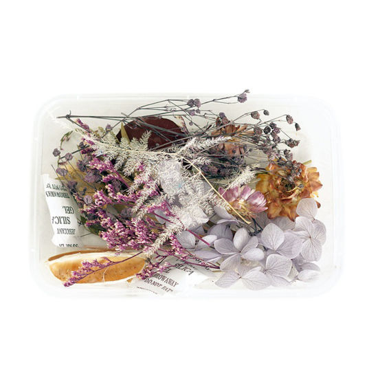 Picture of Real Dried Flower Resin Jewelry Craft Filling Material Multicolor 12cm x 8cm, 1 Box