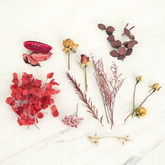 Picture of Real Dried Flower Resin Jewelry Craft Filling Material Multicolor 12cm x 8cm, 1 Box