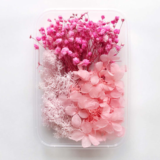 Picture of Real Dried Flower Resin Jewelry Craft Filling Material Multicolor 17cm x 12cm, 1 Box