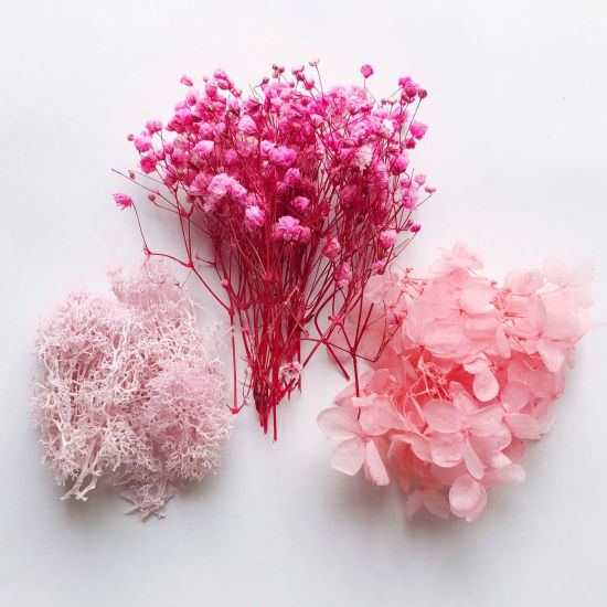 Picture of Real Dried Flower Resin Jewelry Craft Filling Material Multicolor 17cm x 12cm, 1 Box