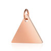 Picture of 304 Stainless Steel Geometry Series Charms Multicolor Triangle Blank Stamping Tags